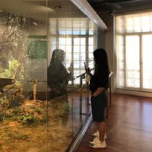 Emildred Cabahug profile icon