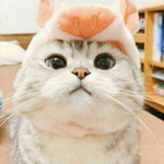 vira raa profile icon