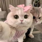 KetttlookkkOmmm profile icon