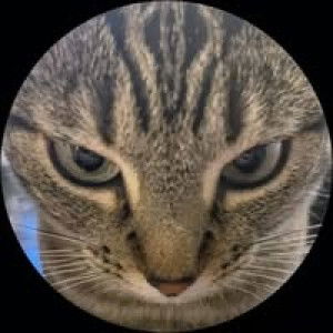 นิจจิรา นุชประมูล profile icon