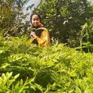 Mukarromah 01 profile icon