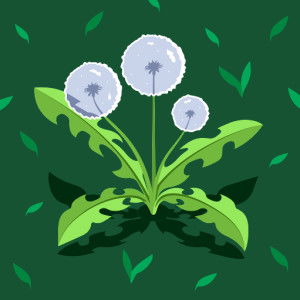 Maryam kaf ha profile icon