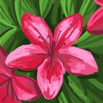 Asyifa Naura profile icon