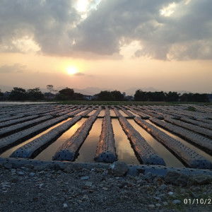 Aisah Rohayati profile icon