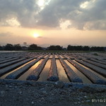 Aisah Rohayati profile icon