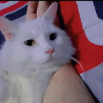 Irilia Mey profile icon