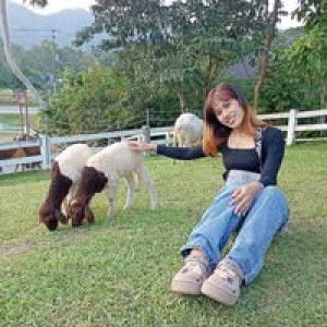 Nof Fon profile icon