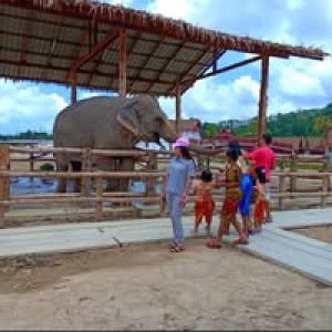 Yai Noo PT Swr profile icon