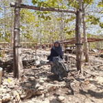 Khusnul Khotimah profile icon