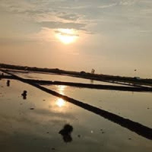 Lutfianah Ramadiyanti profile icon