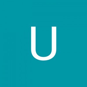 Ulfa Dwiyanti profile icon