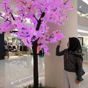 Quens Lie Zee profile icon