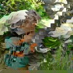 Lina Setiawati profile icon