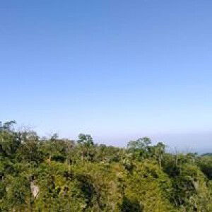 jami Atun naimah profile icon