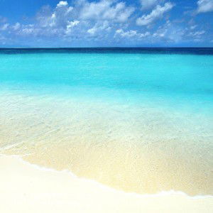 Arini Ulya profile icon