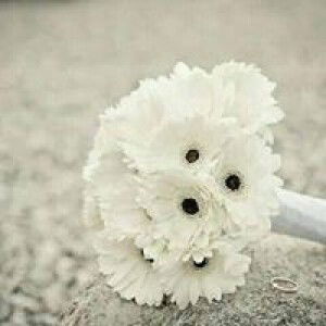 Eva Yuliana profile icon