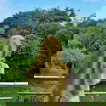 Siti Mutmainah profile icon