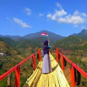 Rodhiyatun Mursida profile icon