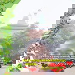 Junaedigepeng Junaedi Junaedigepeng profile icon