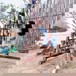 Suwannee In profile icon