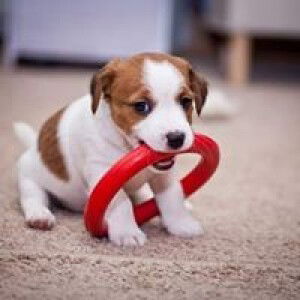 ลูกสาว หล่า profile icon