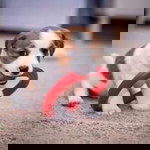 ลูกสาว หล่า profile icon