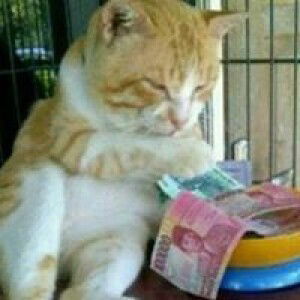 Yusuf Yunus profile icon