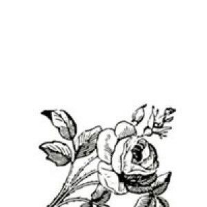 nur ROSYIDA profile icon