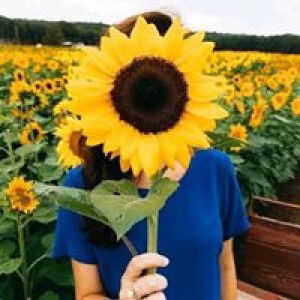 Irish Factur profile icon