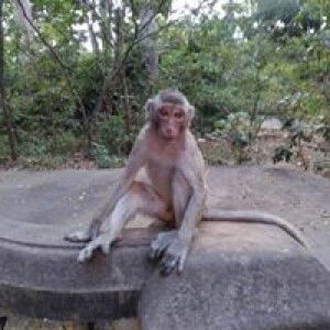 Mumilk Mewmew profile icon