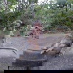 Mumilk Mewmew profile icon