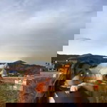 Carmss Ormido profile icon