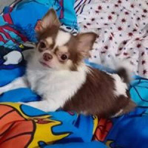 ฐิติวัฒน์ วงษ์จู profile icon