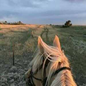 Dian Ayu Saputri profile icon