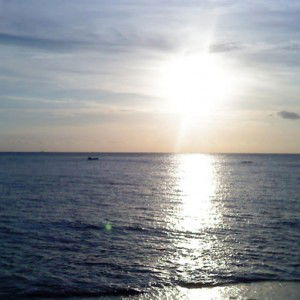 hastuti tuti profile icon