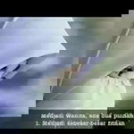 Desi Bunda Arkan Aira profile icon