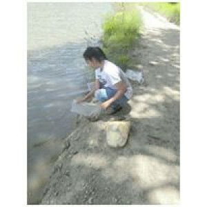 Saowapa Weruwan profile icon