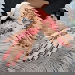 Shitie Jhulaeha profile icon