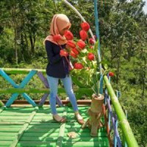 Novie Yhana profile icon