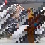 D'fadillah Prisanti profile icon