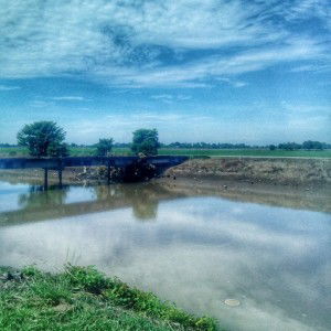 INA COWAY profile icon