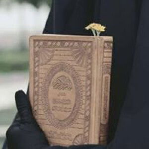 ديلا بوسبيتا ساري profile icon