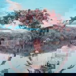 Cúnn Khểnhh profile icon