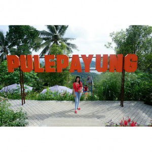 Nyimas Diana Septiana profile icon