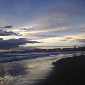 Widia Riska Wahyuni profile icon