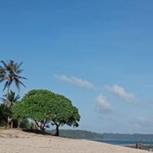 Inne Sahara profile icon