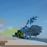 Inne Sahara profile icon