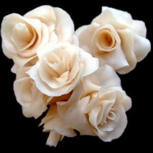 asmaa areeqi profile icon