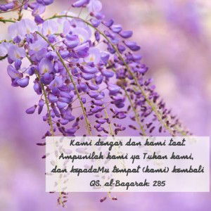 liafitrif profile icon