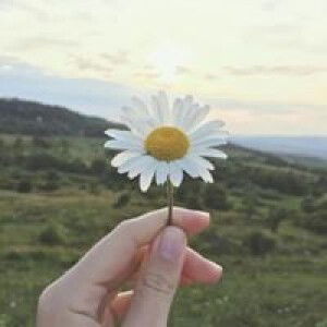 Ngọc Muội profile icon